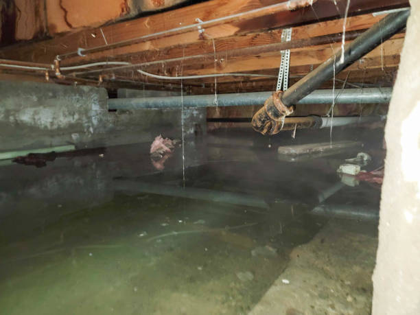 Trusted Woodbury, NY Water damage restoration Experts