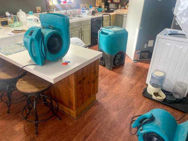Best Water damage repair service  in Woodbury, NY