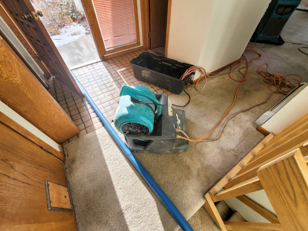 Best Sewage cleanup and water damage restoration  in Woodbury, NY