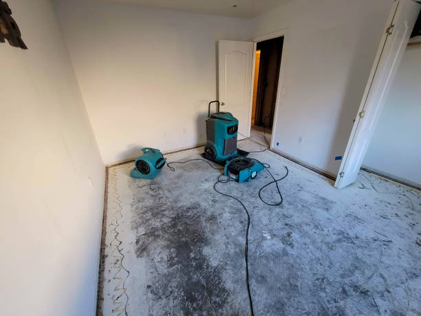 Water damage restoration insurance claims in Woodbury, NY