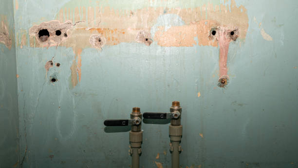 Best Flood damage cleanup  in Woodbury, NY