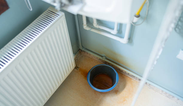Best Water damage cleanup near me  in Woodbury, NY