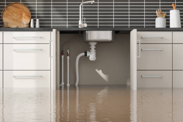 Best Water damage restoration cost  in Woodbury, NY