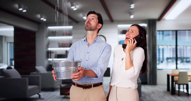 Best Ceiling water damage repair  in Woodbury, NY