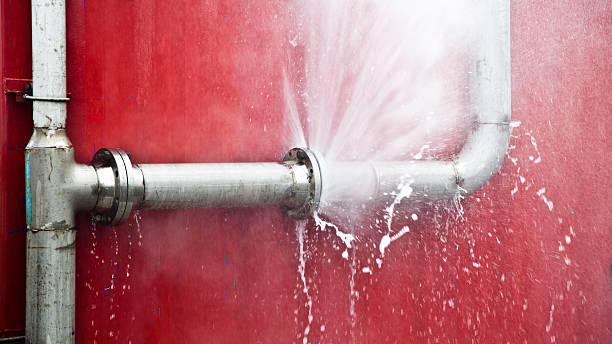 Best Carpet water damage restoration  in Woodbury, NY